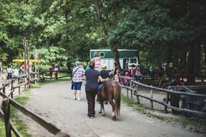 Manège à poneys – Lac de Sillé