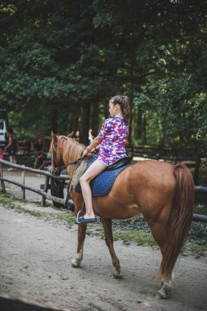 Manège à poneys – Lac de Sillé