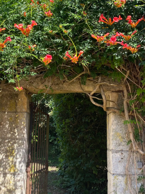 Meublé Domaine de la Béchetière