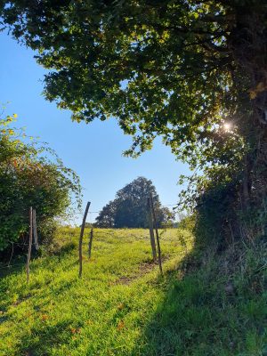 Balade du Chemin des Dames