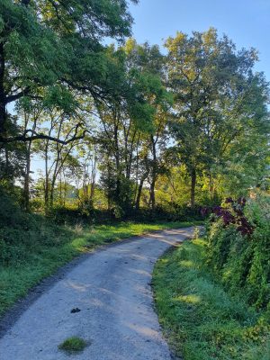 Balade du Chemin des Dames