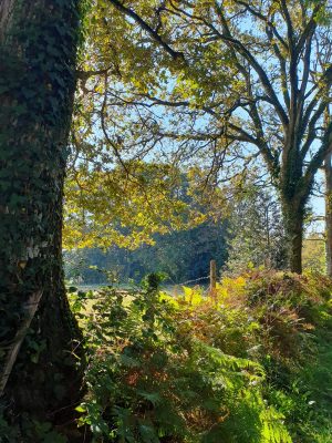 Variante du chemin dit du « Bardeau à la Loge »