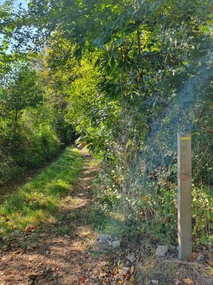 Variante du chemin dit du « Bardeau à la Loge »