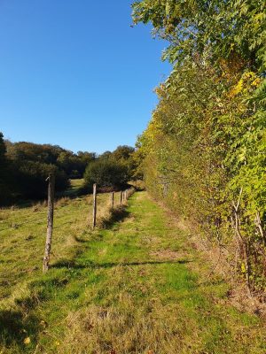 Liaison forêts de la Charnie