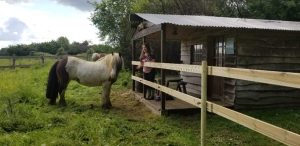 LA VALISE À CHEVAL – Chambre Cowboy