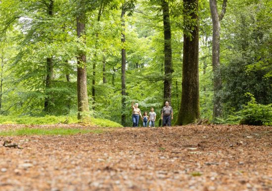 Circuits PR « Les 3 villages » (17km) et « Le Séquoia » (8km)