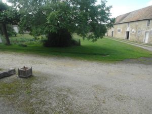 Gîte Le grand harrier