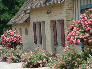 Gîte Les Genêts