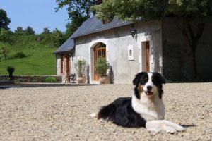 Gîte Le petit gîte du Moulin