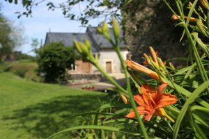 Gîte Le petit gîte du Moulin