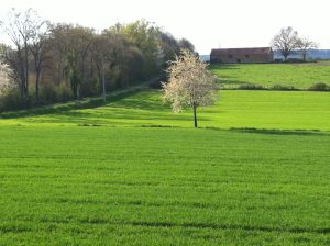 Gîte La Milandrière