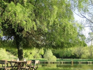 Gîte Domaine de la Frenelle