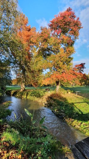 Chambre d’hôtes Le Moulin de Brives