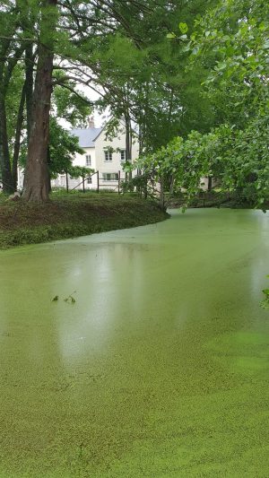 Chambre d’hôtes Le Moulin de Brives