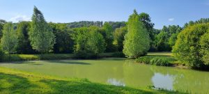 Chambre d’hôtes Le Moulin de Brives