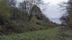 Balade Les super-pouvoirs des arbres