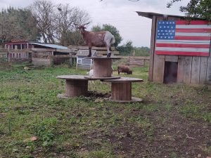 LA VALISE À CHEVAL – Chambre Sheriff