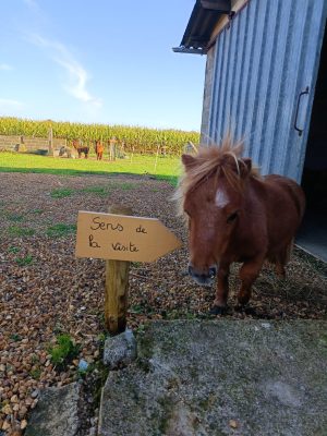 Ferme pédagogique et équestre du fan