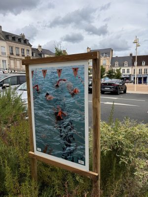 Exposition photographique « le sport collectif à Mamers »