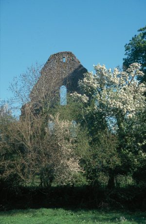 Journées Européennes du Patrimoine 2024 – Abbaye de Perseigne