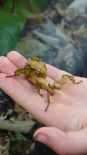 Fête de l’Eau et de la Biodiversité