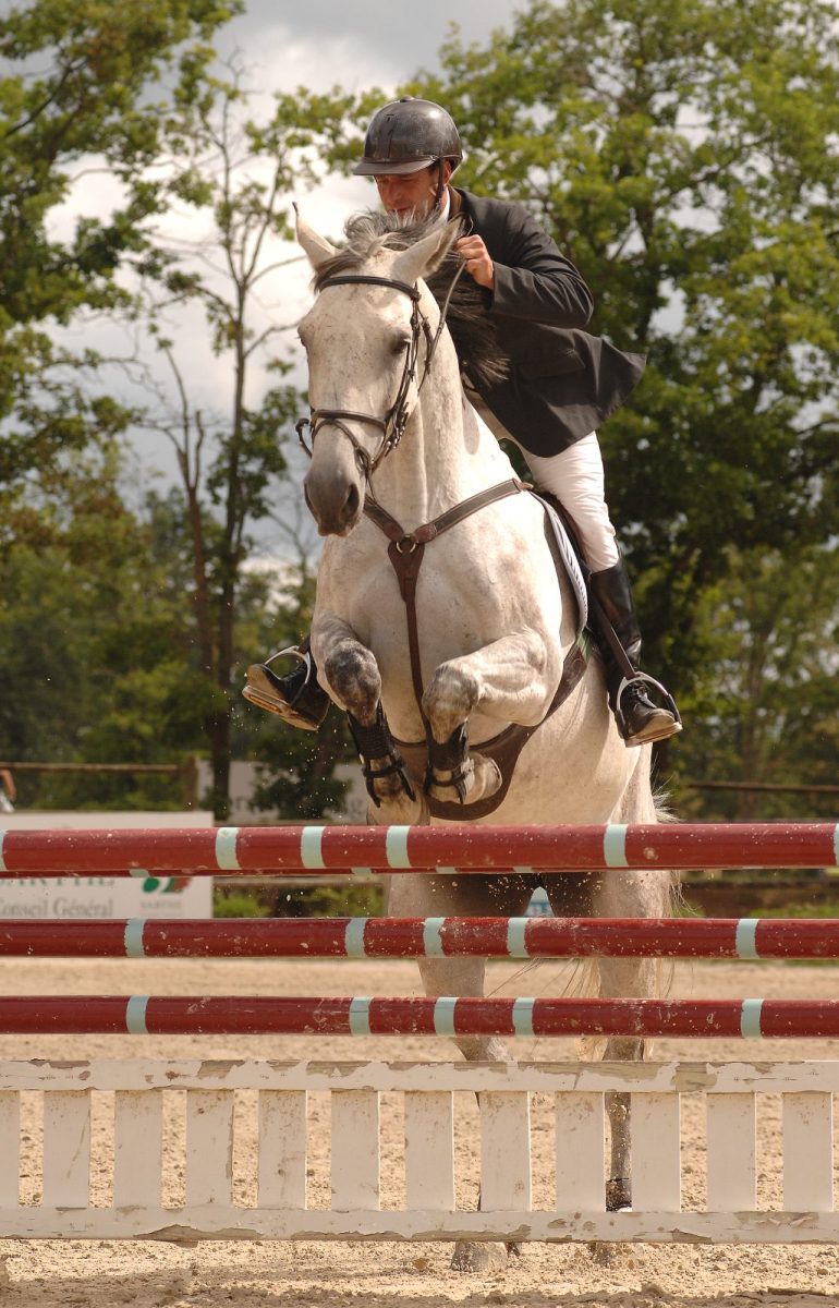 Pôle Européen du Cheval