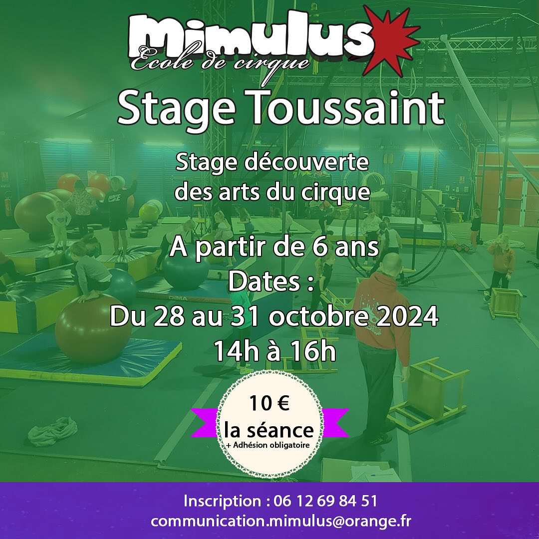 Stage enfant découverte des arts du cirque