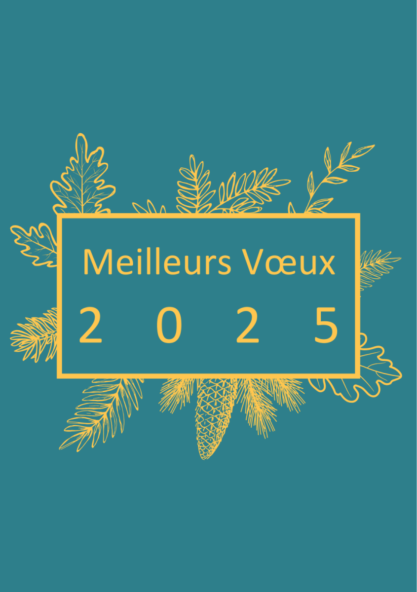 Vœux du Nouvel an Le 9 janv 2025