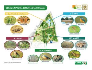 Espace Naturel Sensible des Sittelles