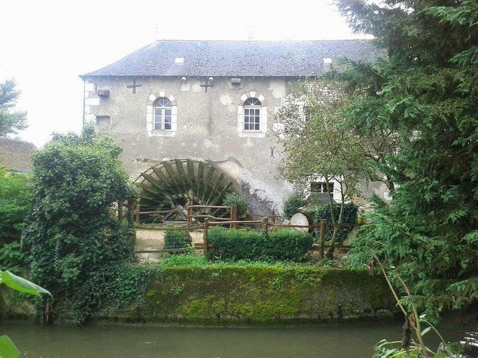 Fête des plantes sauvages au Moulin de Rotrou Le 10 mai 2025