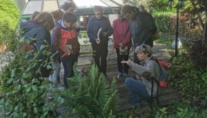 Atelier culinaire plantes sauvages comestibles