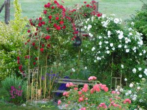 La Cabane de Saint-Fiacre et son Jardin d’Éole