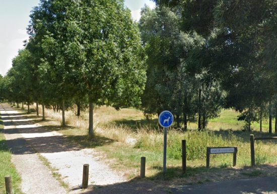 AUTOUR DU BOULEVARD NATURE : DE ROBIN DES BOIS AU PARC DE LA CIGOGNE